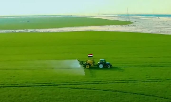 مشروع مستقبل مصر للإنتاج الزراعى