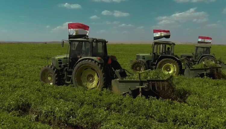 مشروع «الدلتا الجديدة»