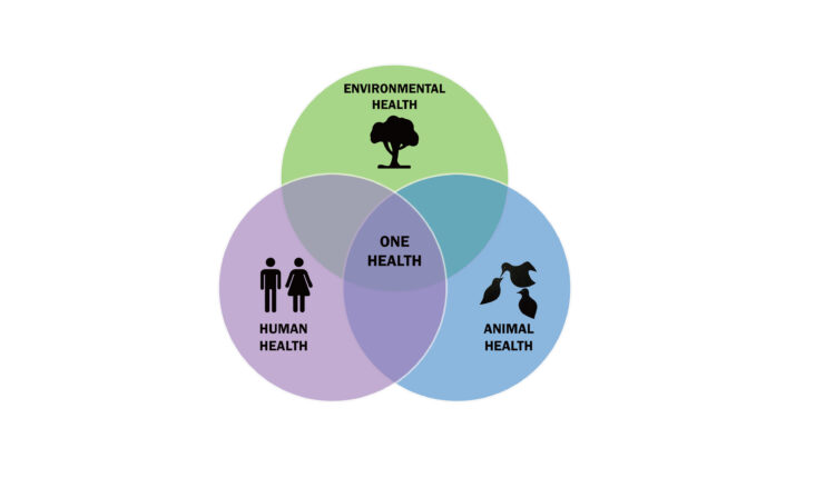 صحة الواحدة