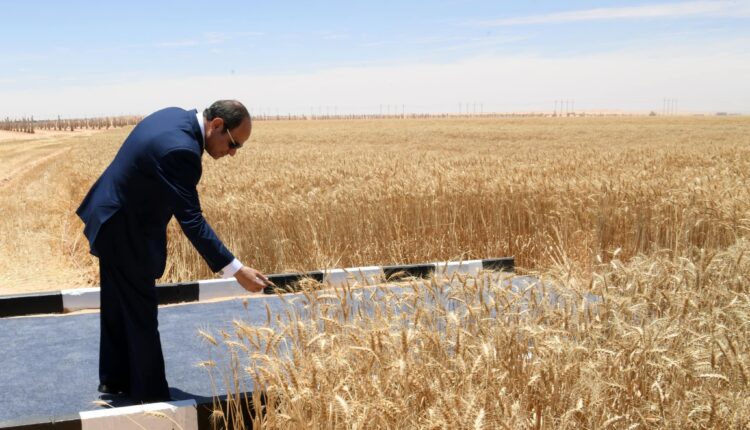 الرئيس عبد الفتاح السيسي