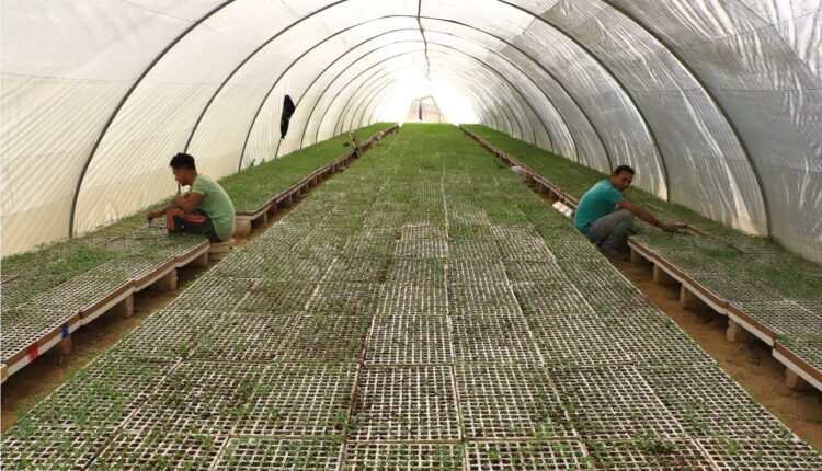 مشروع الصوب الزراعية