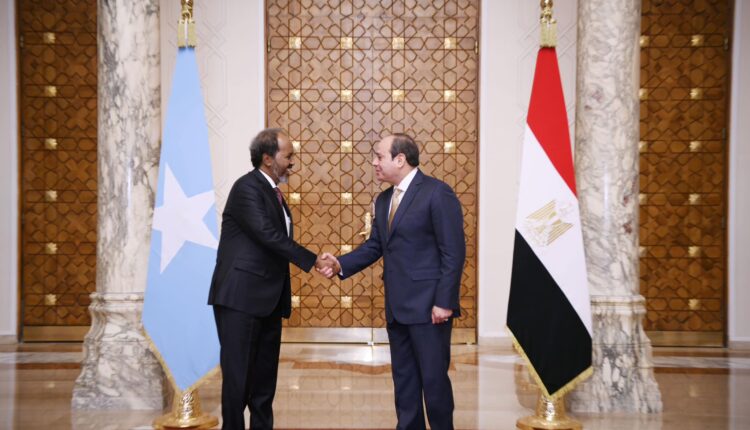 الرئيس عبد الفتاح السيسي